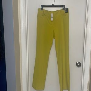 NYC 7th Avenue design studio modern fit barely boot cut with stretch size 8